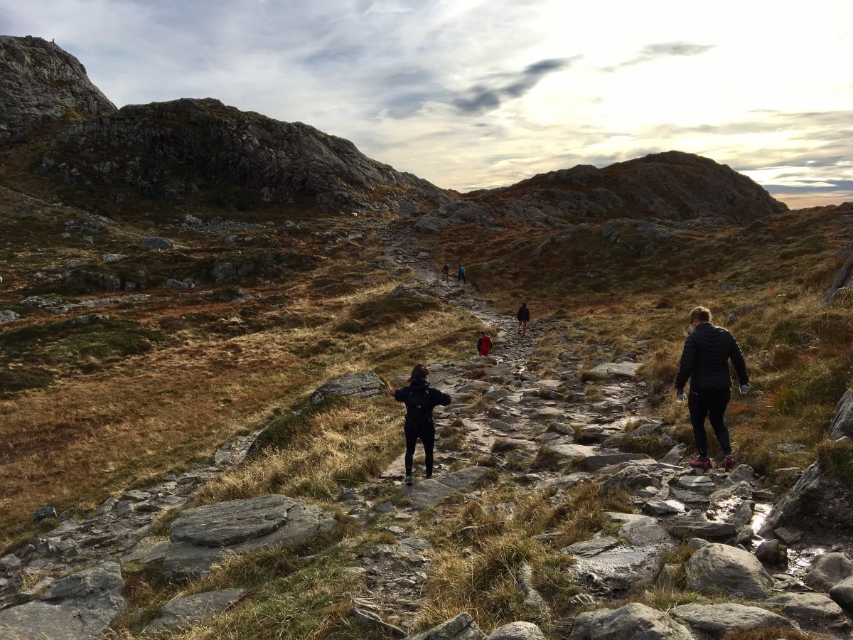 Ulriken to Fløyen – Vidden Trail