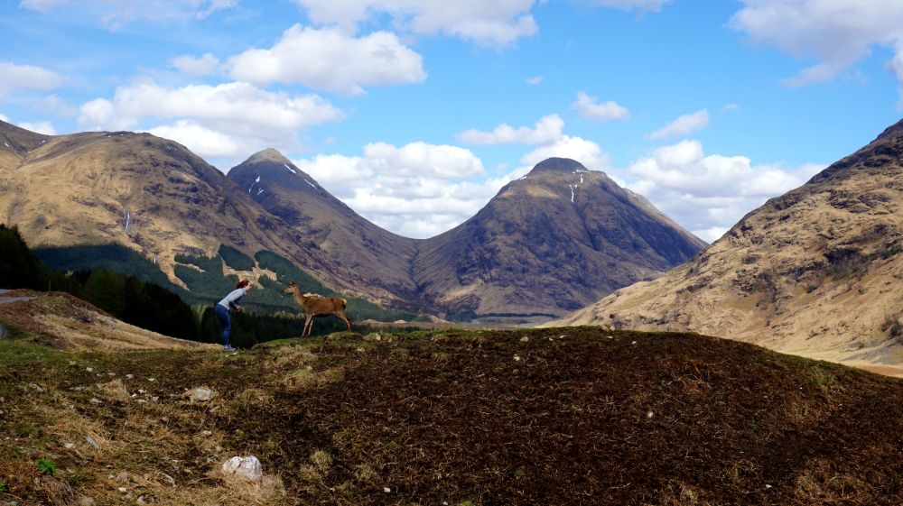 facing her deers.jpg