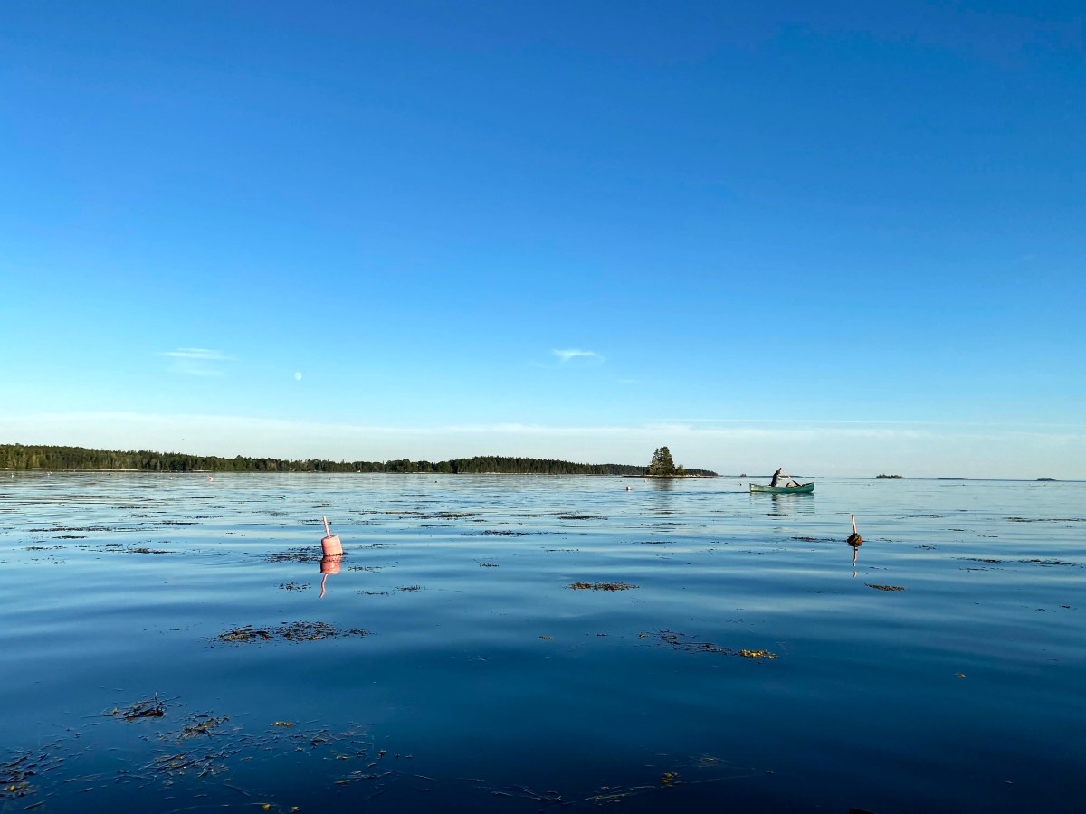 Crow Island in Bremen